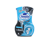 SAWADAY CHARCOAL DEODORIZER FOR BATHROOM